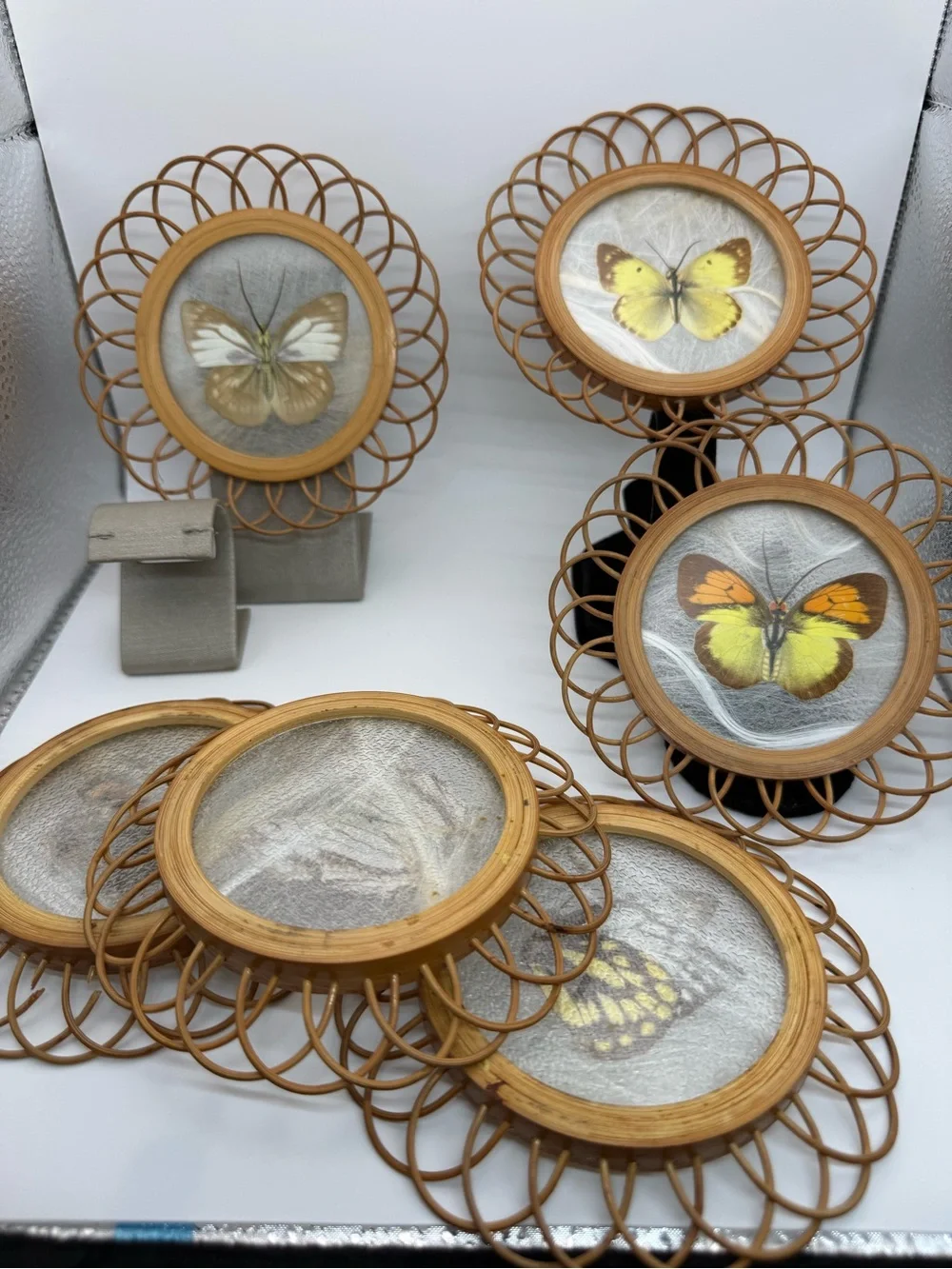 Vintage Set of 6 Real Butterfly Glass Top Rattan Coasters Tropical Decor